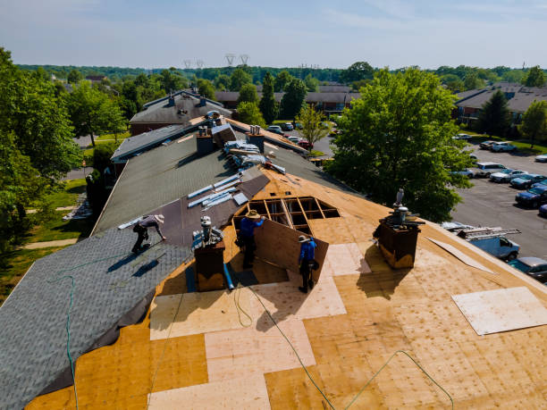 Best Roof Leak Repair  in Despard, WV