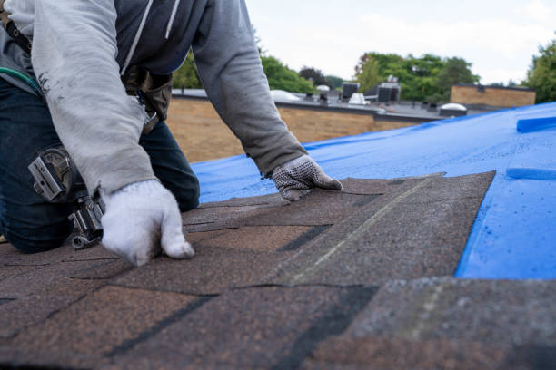 Best Storm Damage Roof Repair  in Despard, WV