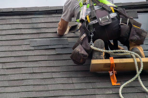 Best Best Roofing Contractors  in Despard, WV