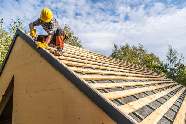 Best Emergency Roof Repair  in Despard, WV