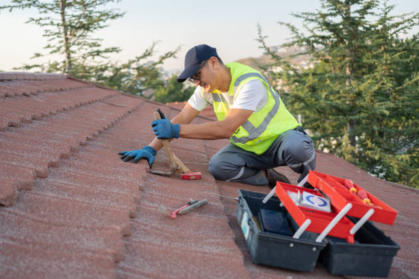 Best Commercial Roof Installation  in Despard, WV