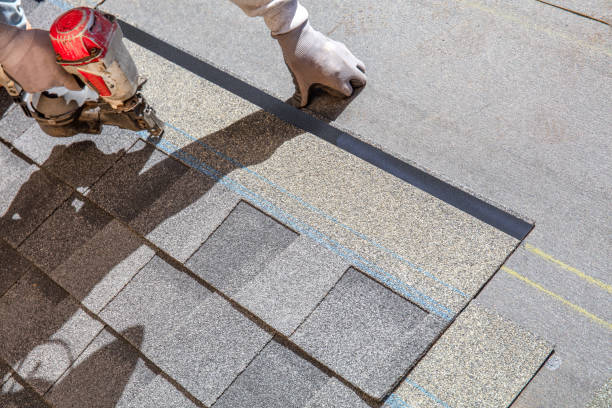 Best Roof Waterproofing Services  in Despard, WV