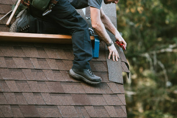 Best Roof Gutter Cleaning  in Despard, WV