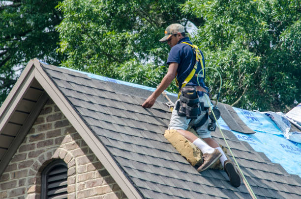 Quick and Trustworthy Emergency Roof Repair Services in Despard, WV